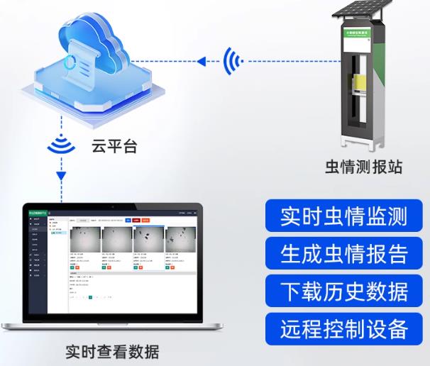 小麦蚜虫测报仪（R11款）系统框架图